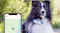 Tractive GPS Dog 4 Tractive GPS Dog 4