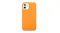 Apple Leather Case with MagSafe for iPhone 12/12 Pro - California Poppy Apple Leather Case with MagSafe for iPhone 12/12 Pro - California Poppy