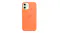 Apple Silicone Case with MagSafe for iPhone 12 mini - Kumquat Apple Silicone Case with MagSafe for iPhone 12 mini - Kumquat