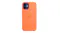 Apple Silicone Case with MagSafe for iPhone 12 mini - Kumquat Apple Silicone Case with MagSafe for iPhone 12 mini - Kumquat