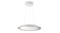 Philips Hue White Ambiance Muscari Pendant Light Philips Hue White Ambiance Muscari Pendant Light