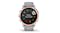 Garmin fenix 6S - Sapphire Rose Gold-tone with Powder Grey Band Garmin fenix 6S - Sapphire Rose Gold-tone with Powder Grey Band