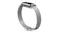 Fitbit Metal Mesh Band for Luxe - Platinum Fitbit Metal Mesh Band for Luxe - Platinum