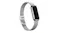 Fitbit Metal Mesh Band for Luxe - Platinum Fitbit Metal Mesh Band for Luxe - Platinum
