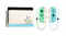 Nintendo Switch Animal Crossing: New Horizons Special Edition Console Nintendo Switch Animal Crossing: New Horizons Special Edition Console