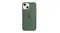 Apple Silicone Case with MagSafe for iPhone 13 mini - Eucalyptus Apple Silicone Case with MagSafe for iPhone 13 mini - Eucalyptus