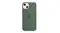 Apple Silicone Case with MagSafe for iPhone 13 - Eucalyptus Apple Silicone Case with MagSafe for iPhone 13 - Eucalyptus