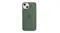 Apple Silicone Case with MagSafe for iPhone 13 - Eucalyptus Apple Silicone Case with MagSafe for iPhone 13 - Eucalyptus