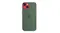 Apple Silicone Case with MagSafe for iPhone 13 - Eucalyptus Apple Silicone Case with MagSafe for iPhone 13 - Eucalyptus