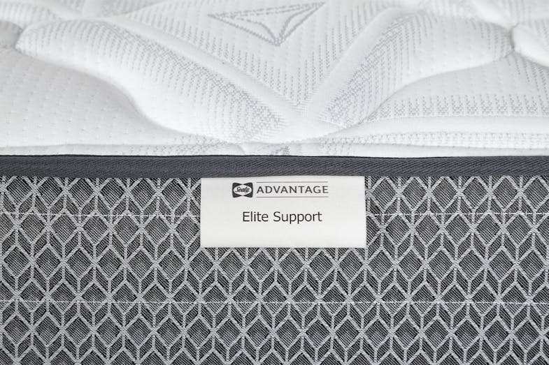 Elite Support Single Mattress by Sealy