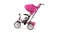Bentley Tricycle - Fuchsia Pink Bentley Tricycle - Fuchsia Pink