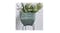Soga 27cm Square Resin Planter - Green/Grey Soga 27cm Square Resin Planter - Green/Grey