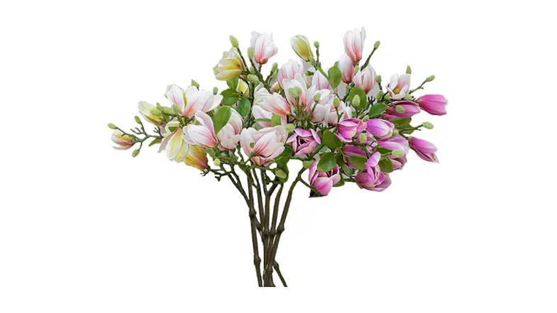 Soga 6 Bunch Magnolia Denudata 4 Heads - Purple Soga 6 Bunch Magnolia Denudata 4 Heads - Purple