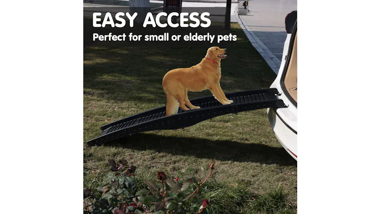 A dog stands on a black pet ramp that leads from a vehicle down to the ground A dog stands on a black pet ramp that leads from a vehicle down to the ground