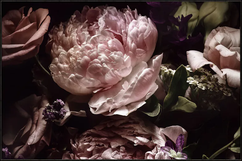 Blush Canvas Wall Art by Start With Art Blush Canvas Wall Art by Start With Art