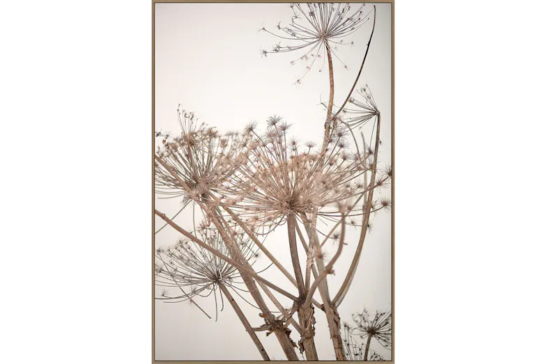 Gone To Seed Canvas by Start With Art Gone To Seed Canvas by Start With Art