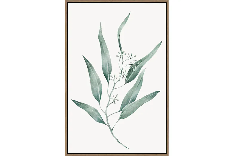 Sage Eucalyptus Canvas by Start With Art Sage Eucalyptus Canvas by Start With Art