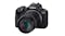 Canon EOS R50 Mirrorless Camera with RF-S 18-45mm f/4.5-6.3 and 55-210mm f/5-7.1 IS STM Lens Canon EOS R50 Mirrorless Camera with RF-S 18-45mm f/4.5-6.3 and 55-210mm f/5-7.1 IS STM Lens