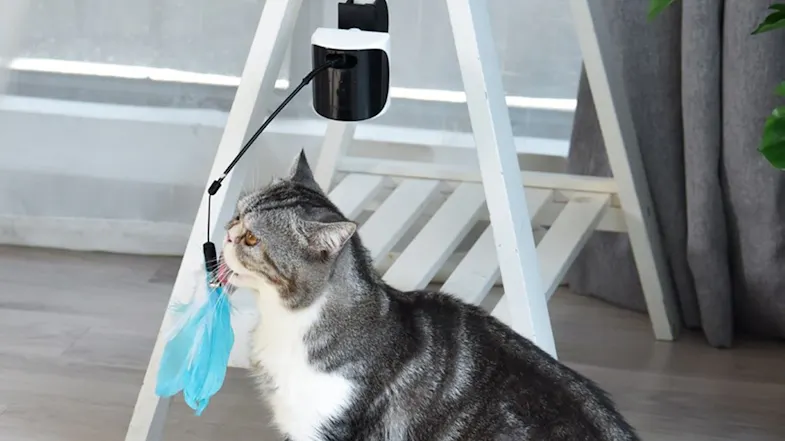 Dogness Laser Cat Teaser Dogness Laser Cat Teaser