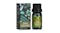 Natural Beauty Essential Oil Blend - Plant Extraction - 10ml/0.34oz Natural Beauty Essential Oil Blend - Plant Extraction - 10ml/0.34oz