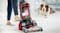 Bissell ProHeat 2X Revolution Pet Professional Carpet Shampooer Bissell ProHeat 2X Revolution Pet Professional Carpet Shampooer