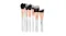 Sigma x BeautyyBird The Dream Face Brush Set (7x Face Brush) - 7pcs+1bag Sigma x BeautyyBird The Dream Face Brush Set (7x Face Brush) - 7pcs+1bag