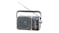 Panasonic RF-2400D AM/FM Portable Radio - Silver