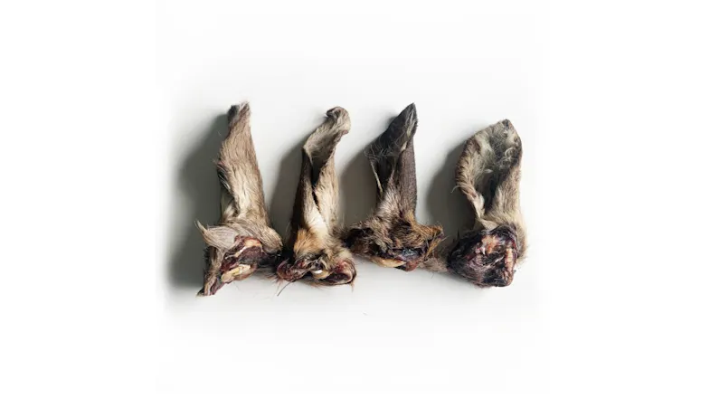 A four pieces of deer/venison ear chews with fur A four pieces of deer/venison ear chews with fur