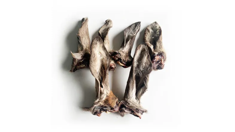 Six pieces of deer/venison ear chews with fur Six pieces of deer/venison ear chews with fur