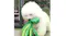 A fluffy white dog joyfully playing with a green octopus-shaped toy. A fluffy white dog joyfully playing with a green octopus-shaped toy.