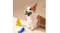 Mewoofun Squeaky Dog Chew Toys 3pcs. Mewoofun Squeaky Dog Chew Toys 3pcs.
