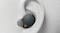 Sony WF-1000XM5 Noise Cancelling True Wireless In-Ear Headphones - Black Sony WF-1000XM5 Noise Cancelling True Wireless In-Ear Headphones - Black