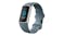 Fitbit Charge 5 Activity Tracker - Platinum Stainless Steel Case with Steel Blue Band (Bluetooth, GPS)