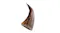 An angled view of a deer antler dog chew An angled view of a deer antler dog chew
