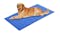 Furry Best Friend Cooling Pet Mat Extra Large - Blue Furry Best Friend Cooling Pet Mat Extra Large - Blue