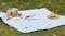 Sherwood Faux Linen Picnic Rug Sherwood Faux Linen Picnic Rug