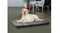 TSB Living Memory Foam Pet Bed Extra Large - D4 TSB Living Memory Foam Pet Bed Extra Large - D4