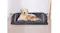 TSB Living Memory Foam Pet Bed Large - F20 TSB Living Memory Foam Pet Bed Large - F20