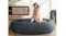 TSB Living Memory Foam Pet Bed Large - R30 TSB Living Memory Foam Pet Bed Large - R30