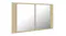 Angled view of a mirror cabinet with a Sonoma oak finish Angled view of a mirror cabinet with a Sonoma oak finish