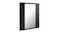 Angled view of a mirror cabinet with a gloss black finish Angled view of a mirror cabinet with a gloss black finish
