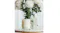 Ecoya 110ml Room Spray Ecoya 110ml Room Spray