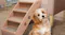 NNEVL Folding Dog Stairs 62 x 40 x 49cm - Brown NNEVL Folding Dog Stairs 62 x 40 x 49cm - Brown