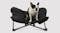 Charlie's Folding Plush Camping Pet Bed Medium - Black Charlie's Folding Plush Camping Pet Bed Medium - Black