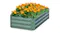 SOGA Galvanised Raised Garden Bed 120 x 60 x 30cm - Green SOGA Galvanised Raised Garden Bed 120 x 60 x 30cm - Green