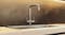 InSinkerator Near-Boiling & Chilled Mixed Filtered Multi Tap - Brushed (Uso/CHUSO-BR) InSinkerator Near-Boiling & Chilled Mixed Filtered Multi Tap - Brushed (Uso/CHUSO-BR)
