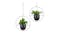 Kmall Modern Round Decorative Plant Hanger - Black" Kmall Modern Round Decorative Plant Hanger - Black"