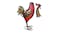Kmall Decorative Sculpture - Proud Rooster Kmall Decorative Sculpture - Proud Rooster
