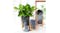 Kmall Plastic Plant Pot with Drainage Holes, Matching Bamboo Plant Stand 3pcs. Kmall Plastic Plant Pot with Drainage Holes, Matching Bamboo Plant Stand 3pcs.