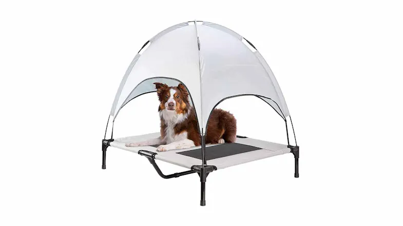 A dog lying on an elevated hammock pet bed equipped with a dome canopy A dog lying on an elevated hammock pet bed equipped with a dome canopy